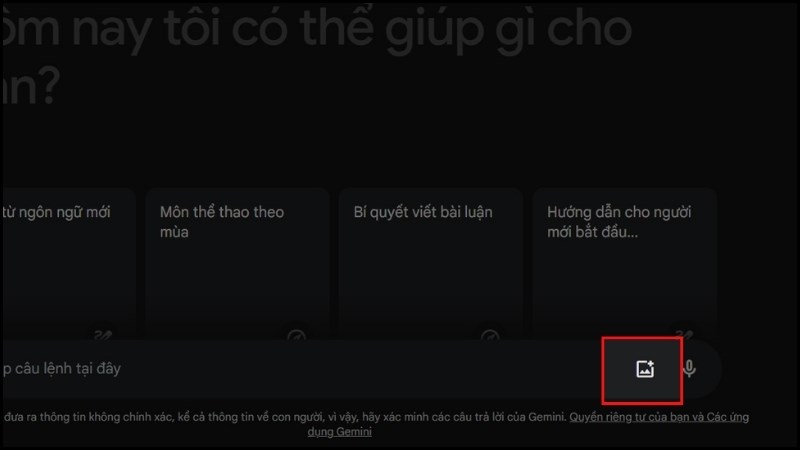 Cách chat với Google Gemini bằng hình ảnh