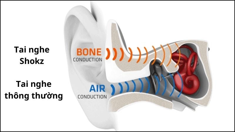 Sự khác nhau về nguyên lý hoạt động giữa tai nghe bình thường và tai nghe Shokz