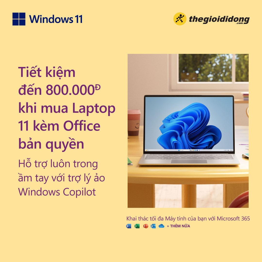 Windows 11