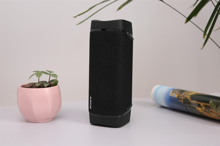 Loa Bluetooth Sony Extra Bass SRS-XB33 Màu Đen