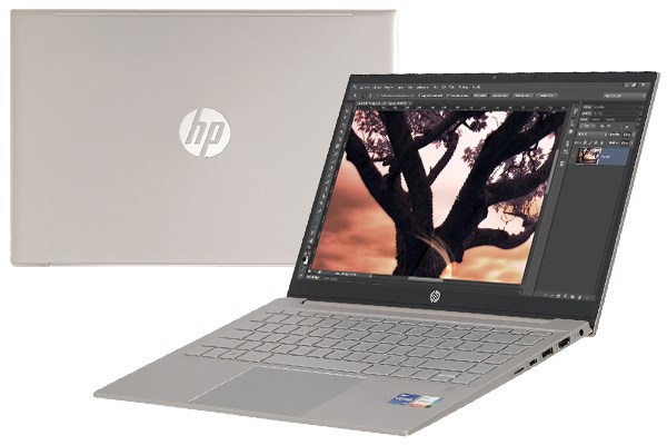 Laptop HP Pavilion 14 dv0510TU i5 1135G7/8GB/512GB/Win11 (46L79PA)