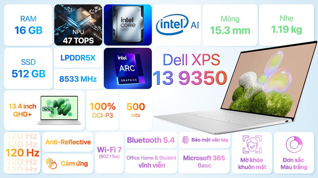 Laptop Dell XPS 13 9350 Ultra 7 256V/16GB/512GB/OfficeHS24+365/Win11 (XPSU7016W1)