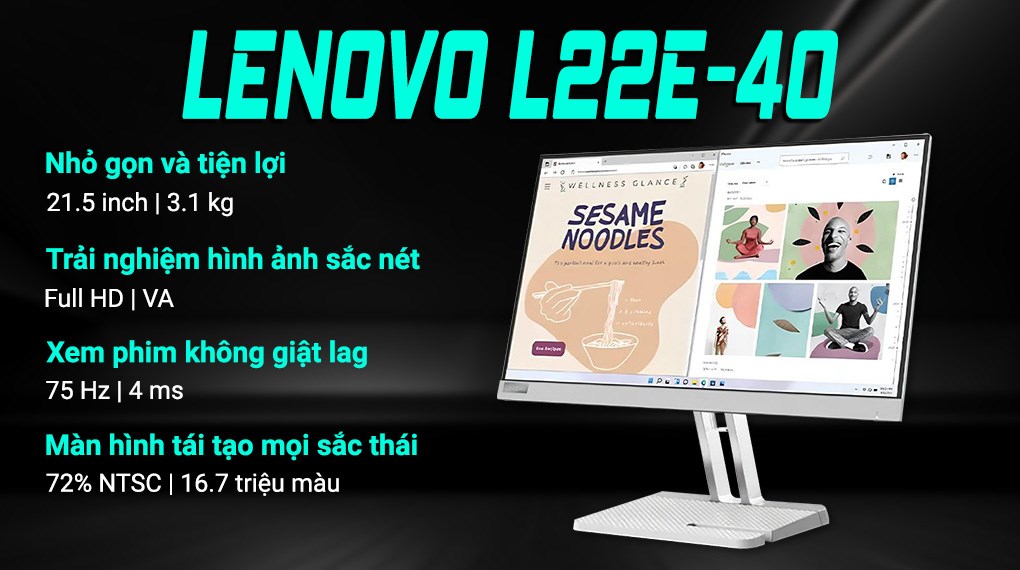 Màn hình Lenovo L22e-40 21.5 inch FHD/VA/75Hz/4ms