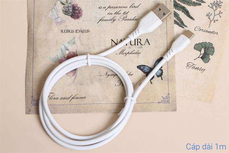 Cáp Type C 1m AVA+ DS07 Màu Trắng