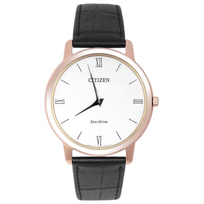 Đồng hồ CITIZEN 39 mm Nam AR1133-23A