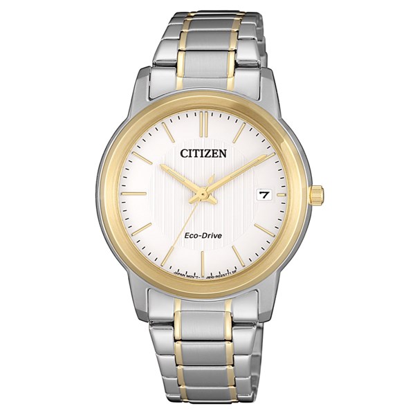 Đồng hồ CITIZEN 33 mm Nữ FE6016-88A