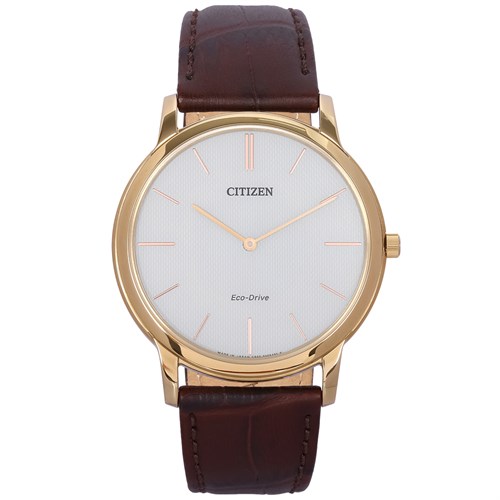 Đồng hồ CITIZEN 39 mm Nam AR1113-12A Màu Nâu