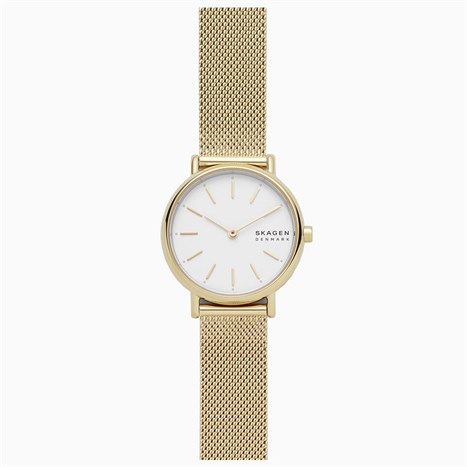 Đồng hồ SKAGEN 30 mm Nữ SKW2693 Màu Vàng