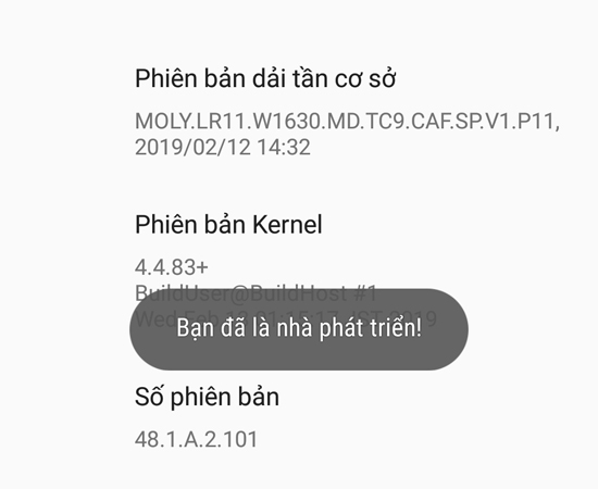 Bước 4: Tại mục Giới thiệu về điện thoại, hãy chạm nhiều lần vào dòng Số phiên bản cho đến khi trên màn hình hiển thị thông báo Bạn đã là nhà phát triển.