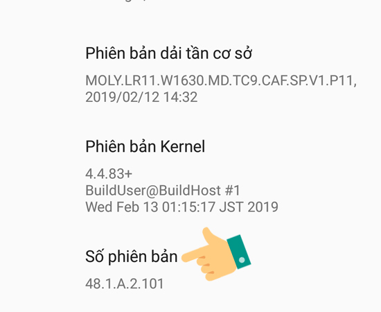 Bước 4: Tại mục Giới thiệu về điện thoại, hãy chạm nhiều lần vào dòng Số phiên bản cho đến khi trên màn hình hiển thị thông báo Bạn đã là nhà phát triển.