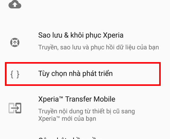 Bước 5: Khi trở về Hệ thống, bạn sẽ thấy Chế độ nhà phát triển đã được kích hoạt thành công.