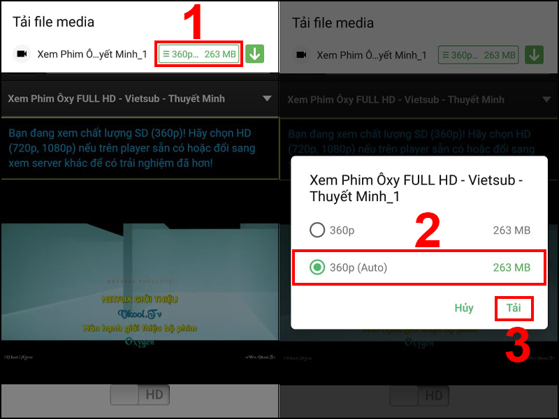 Chọn chất lượng video tải về và nhấn Tải