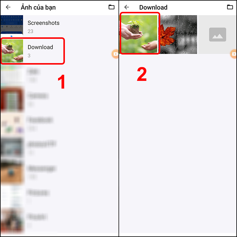 Nhấn vào Download và chọn ảnh muốn cài đặt