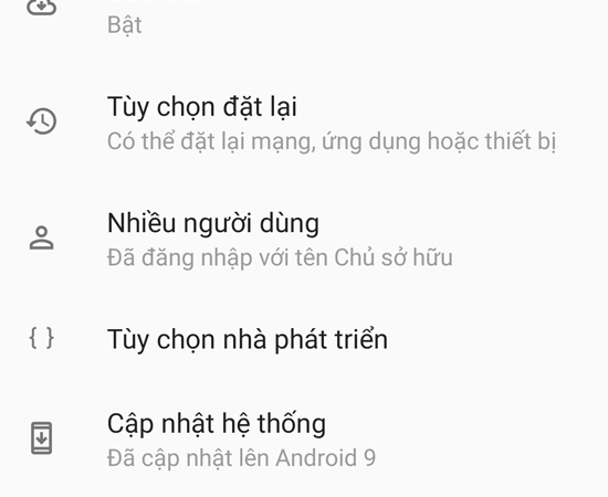 Bước 5: Khi trở về giao diện Hệ thống, bạn sẽ thấy mục Tùy chọn nhà phát triển xuất hiện (chế độ nhà phát triển đã được kích hoạt thành công).