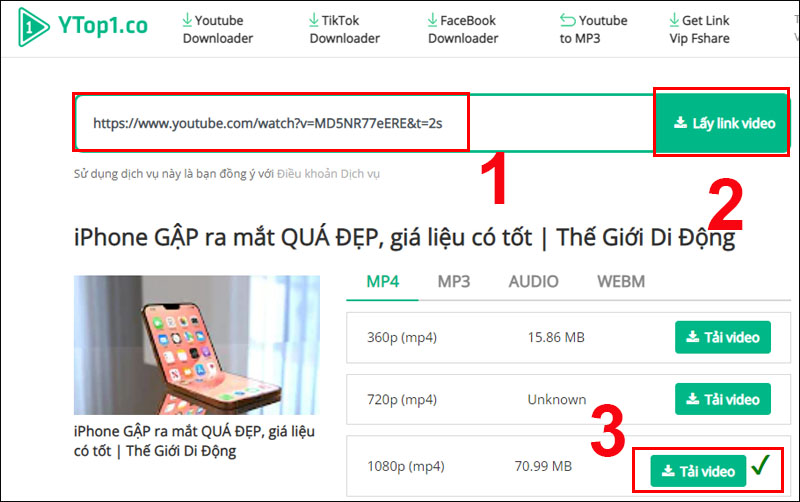 Dán link video muốn tải từ Youtube vào Ytop1.com