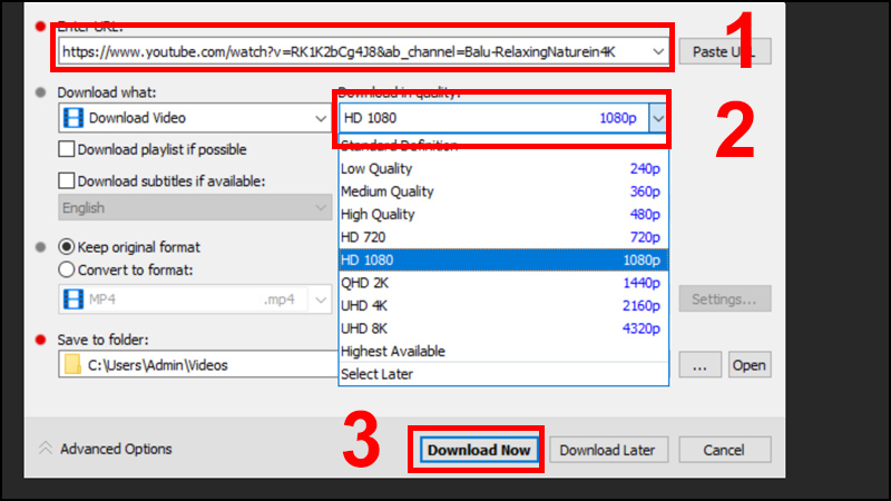 4K Video Downloader