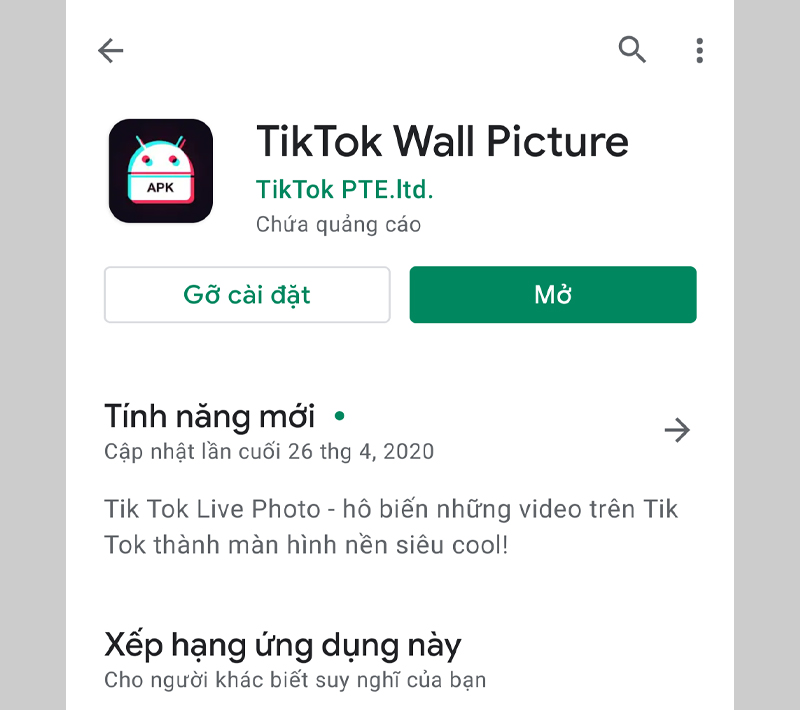 TikTok Wall Picture