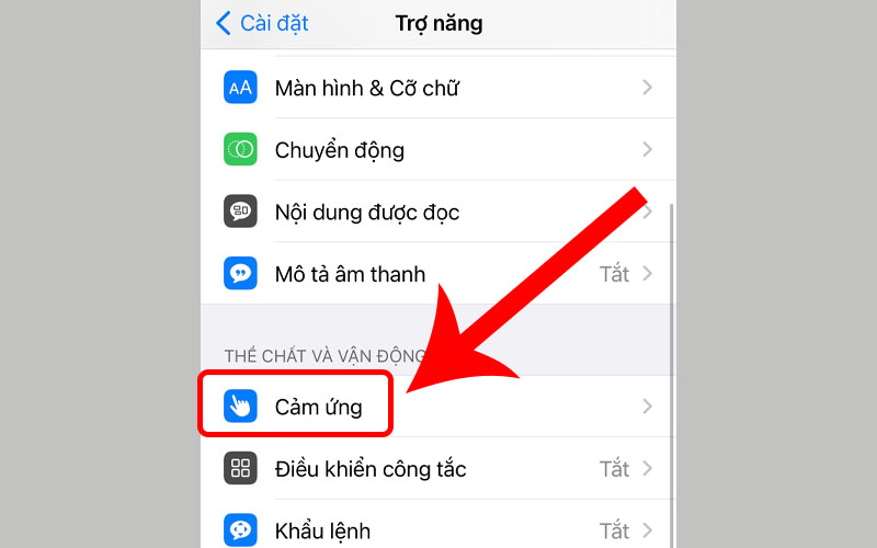 Chọn mục Cảm ứng