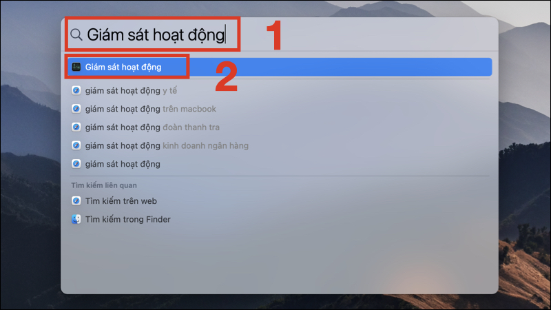 Gõ “Activity Monitor” hoặc “Giám sát hoạt động” trong Spotlight