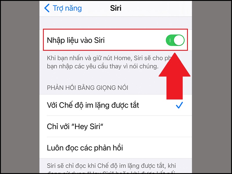 Bật Nhập liệu vào Siri