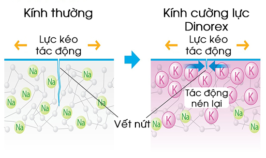 Kính cường lực Dinorex Glass