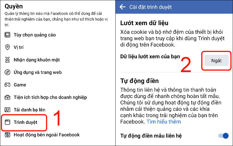 Chọn Trình duyệt trong mục Quyền rồi chọn Ngắt tại Dữ liệu lướt xem của bạn