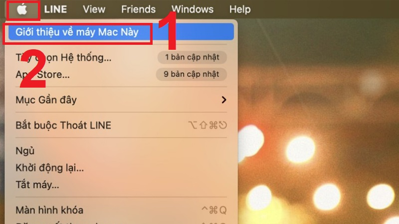 Nhấn vào biểu tượng táo khuyết Apple và chọn About This Mac 