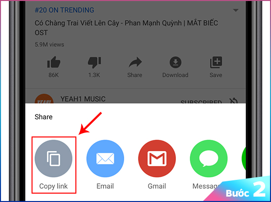 Bước 2: Sau đó các bạn chọn copy link của video.