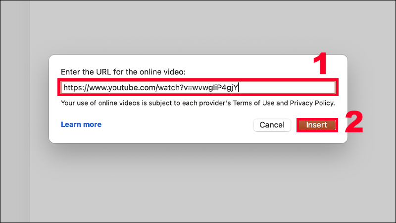 Bạn dán link video YouTube mà mình đã sao chép và ấn Insert để chèn video