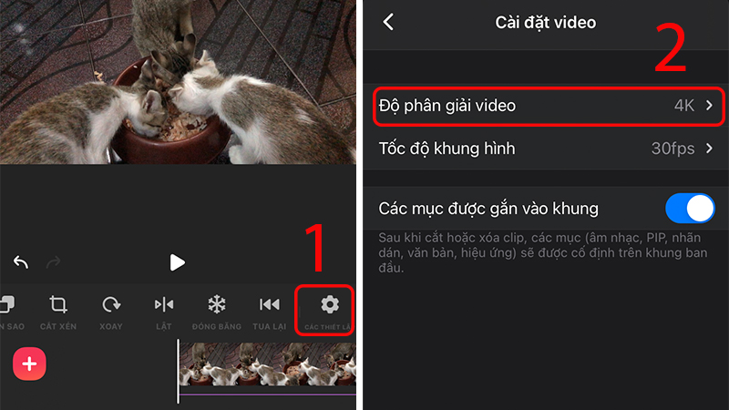 Chọn độ phân giải cho video