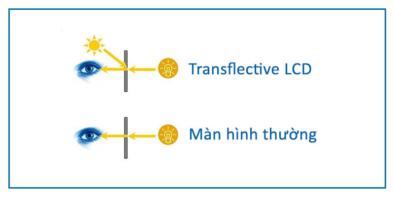 Màn hình Transflective LCD trên smartwatch là gì?