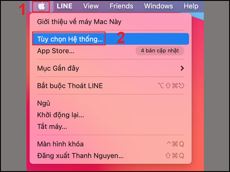 Mở Tùy chọn hệ thống
