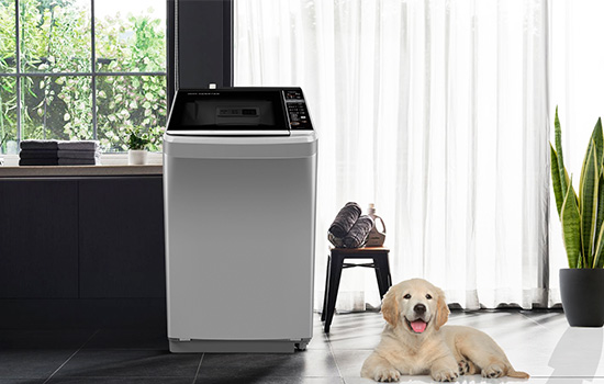 Máy giặt AQUA cửa trên - lồng nghiêng