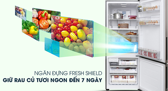 Tủ lạnh Electrolux của nước nào? Có tốt và nên mua không?