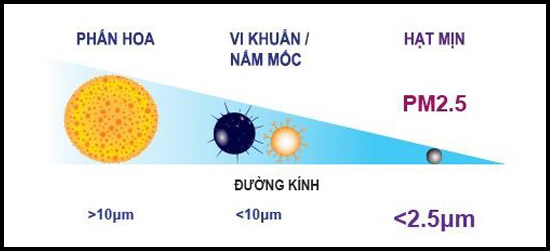 Lọc sạch bụi bẩn