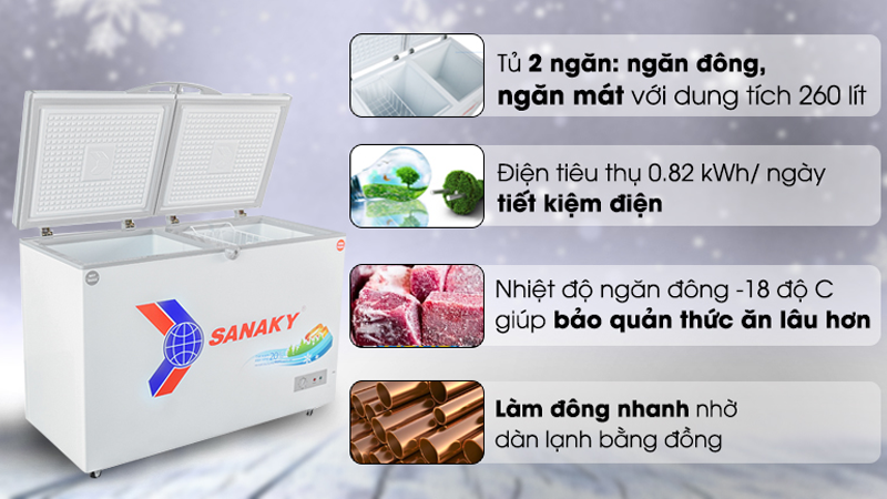 Tủ đông Sanaky 260 lít VH-3699W1