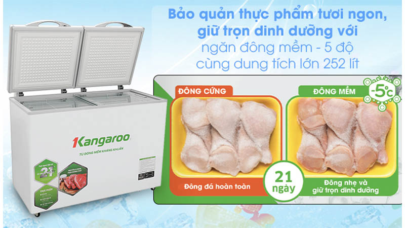 Tủ đông có 1 ngăn đông mềm, 1 ngăn đông