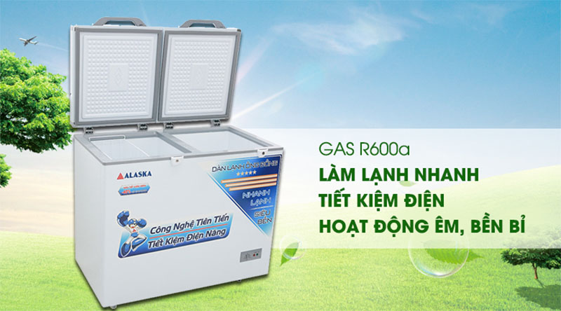 Các loại gas được dùng cho tủ đông