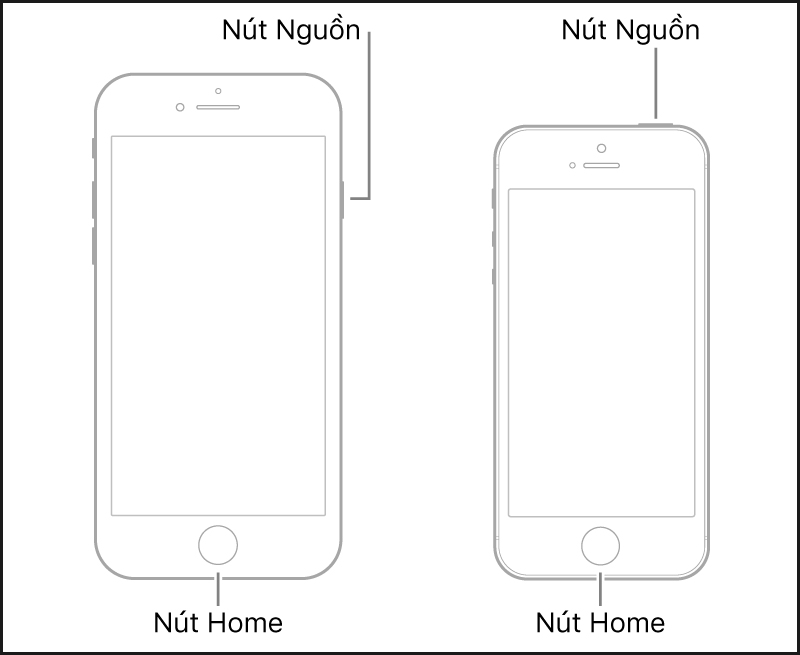 Nút Nguồn và nút Home