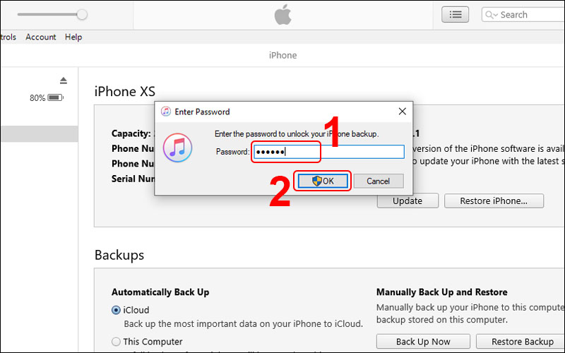 Nhập mật khẩu iPhone và chọn OK