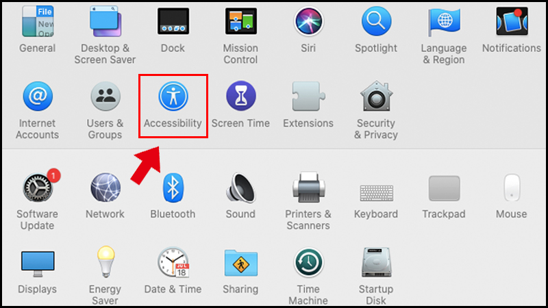 Vào mục Accessibility