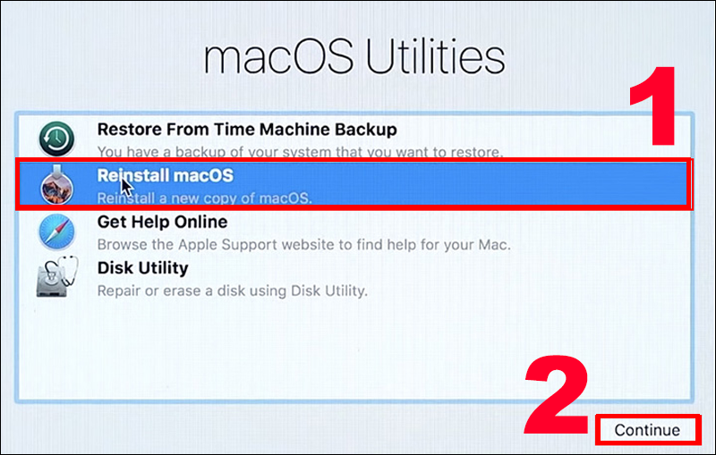 Chọn Reinstall macOS rồi nhấn Continue