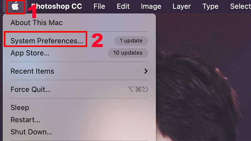 Nhấn vào biểu tượng Apple, chọn System Preferences 