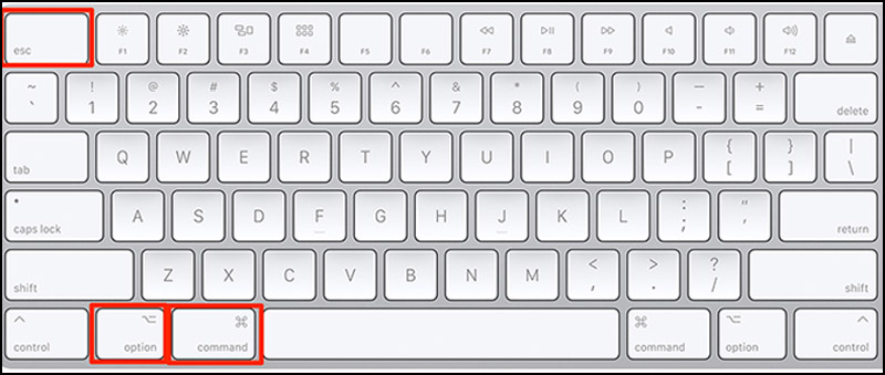 Nhấn Command+Option+Esc