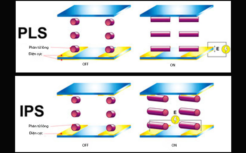 Sự khác nhau giữa PLS và IPS
