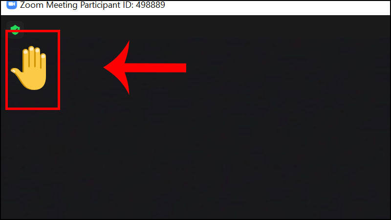 Hướng dẫn cách sử dụng tính năng giơ tay trên Zoom bằng máy tính