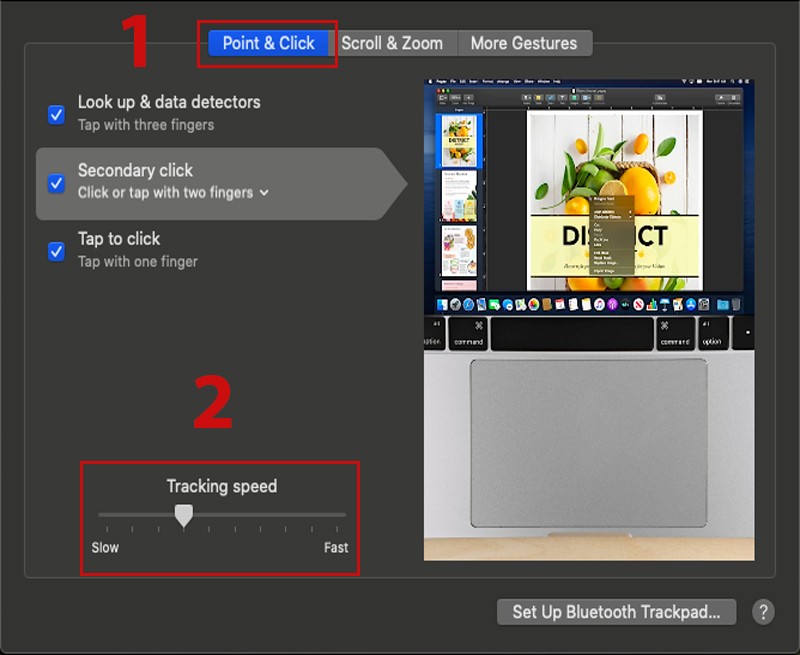 hình ảnh cài đặt trackpad macbook