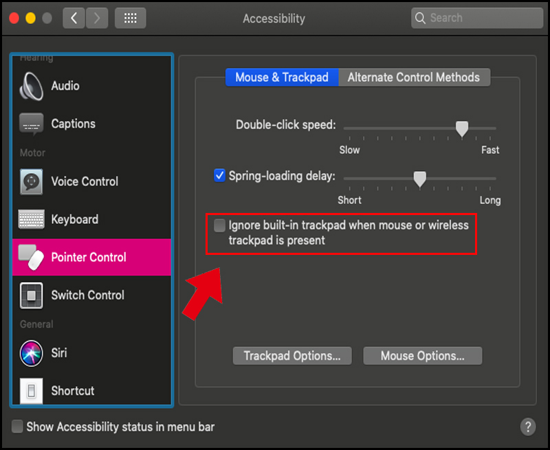 hình ảnh cài đặt pointer controls macbook