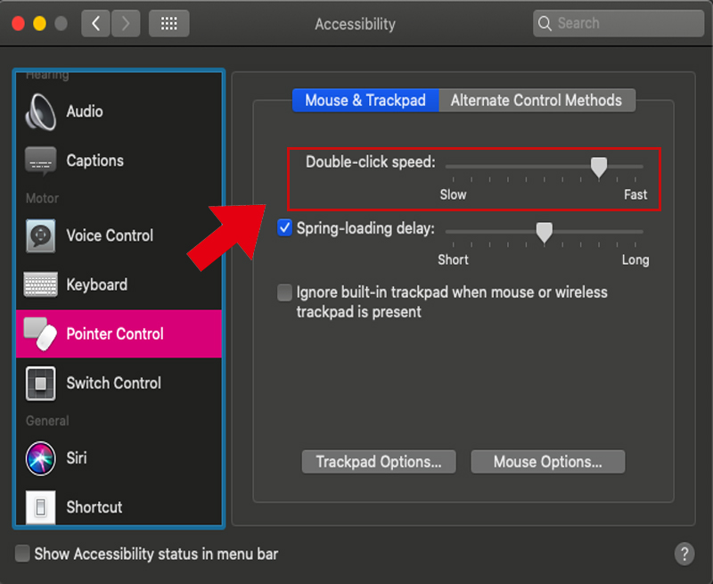 hình ảnh cài đặt pointer controls macbook