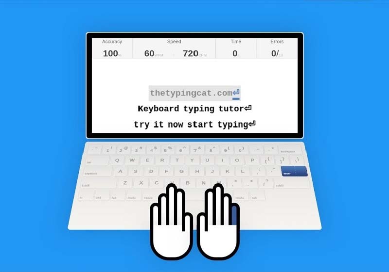 typing-cat